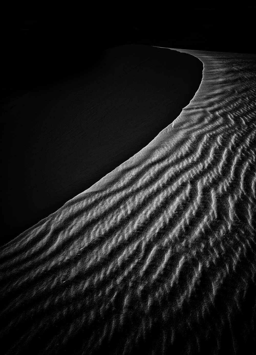 Sand Dune von Lydia Jacobs