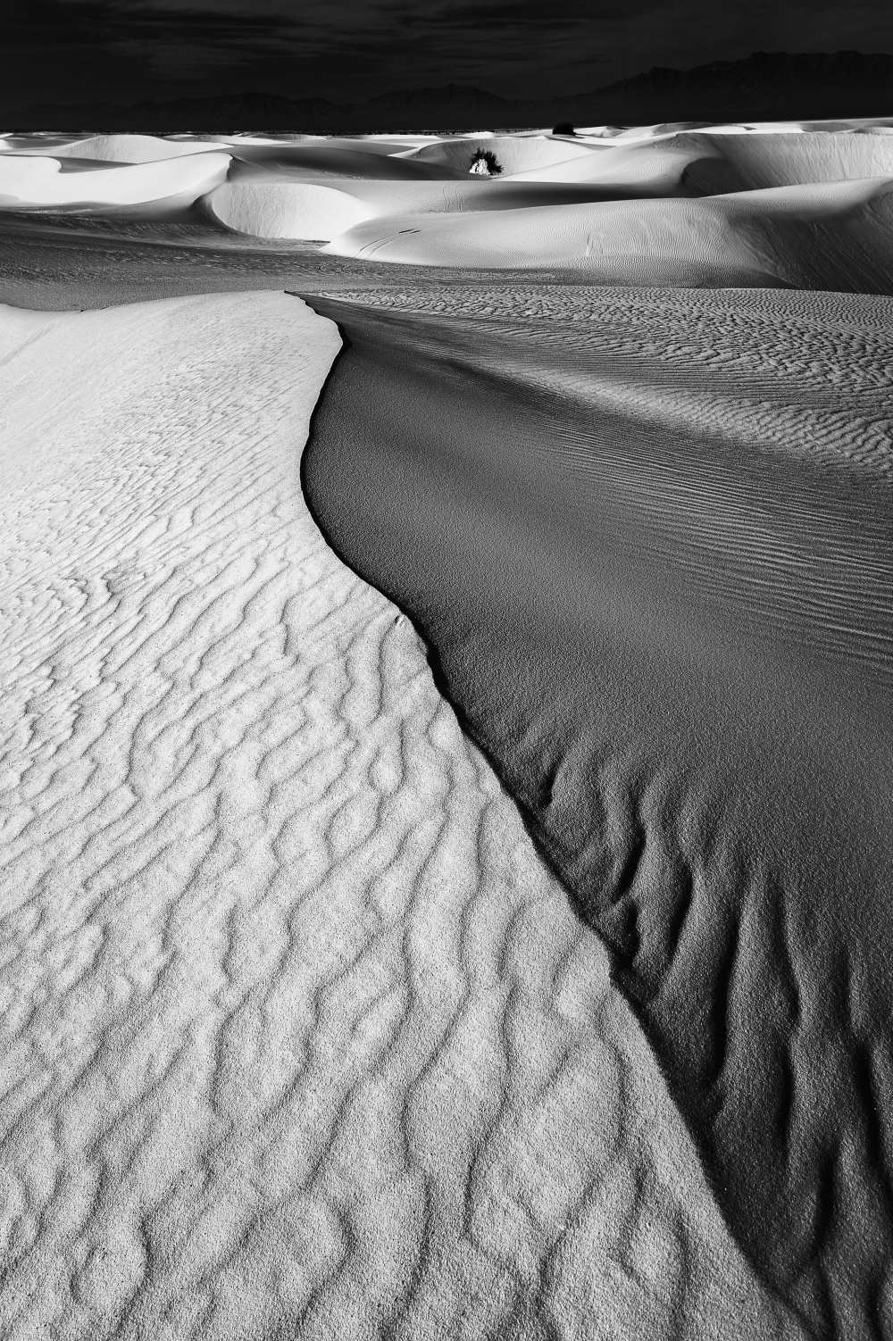 Sand Waves von Lydia Jacobs