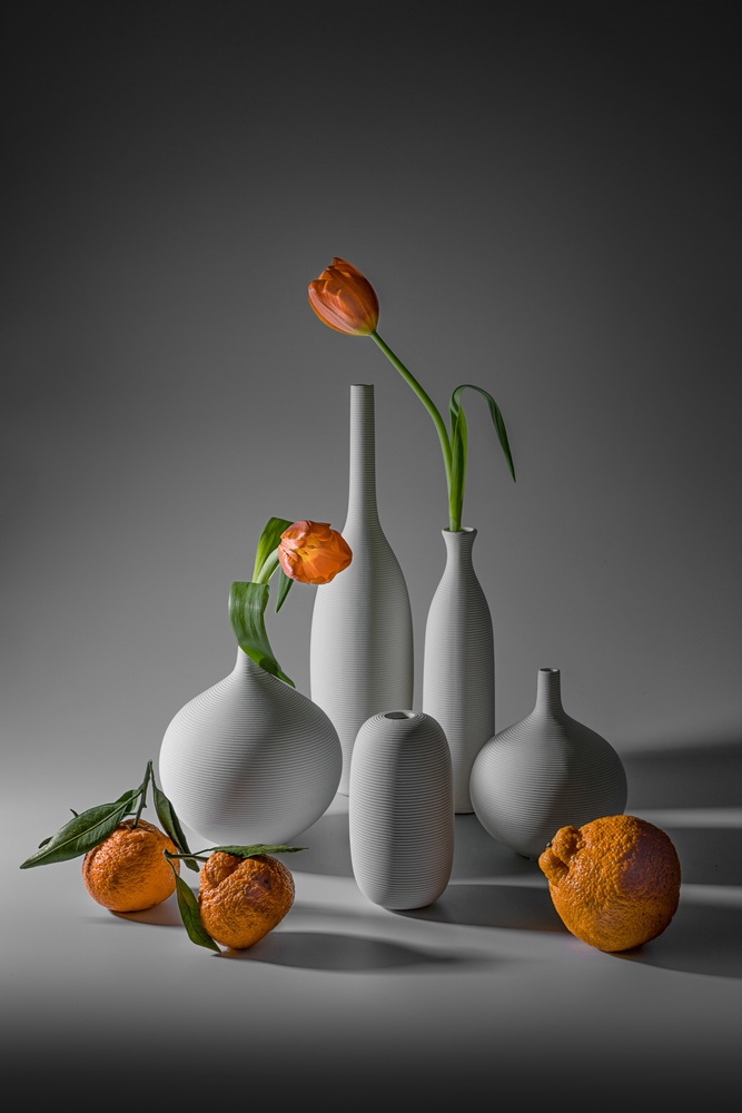 Tulpe und Mandarine von Lydia Jacobs