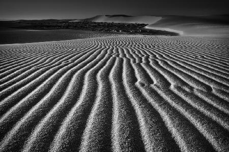 Windgekämmter Sand
