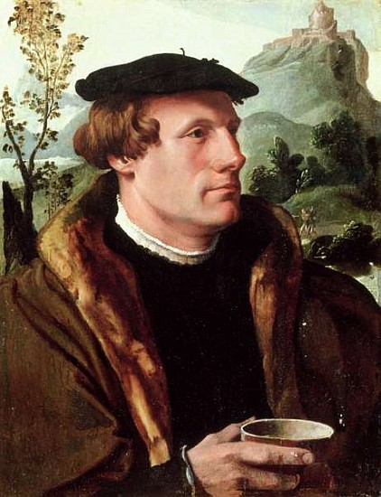 Portrait of a Gentleman von Maerten van Heemskerck