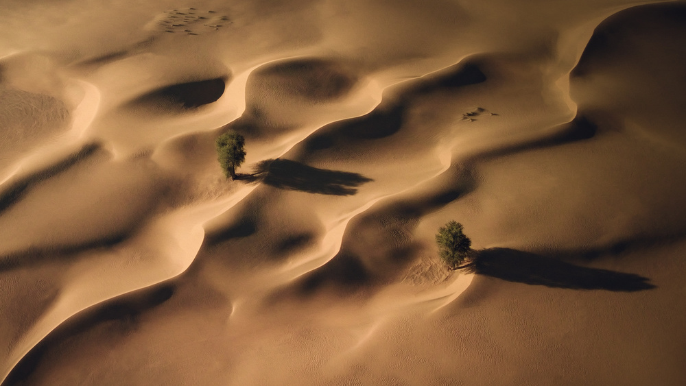 Leben mitten in der Wüste von Majid Behzad