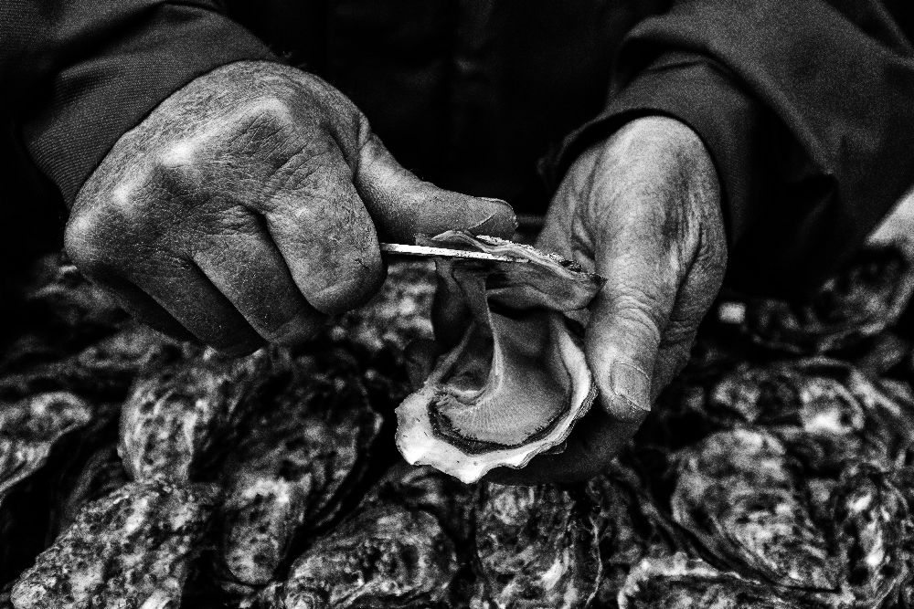 LOstreiculteur "Austernzüchter" von Manu Allicot