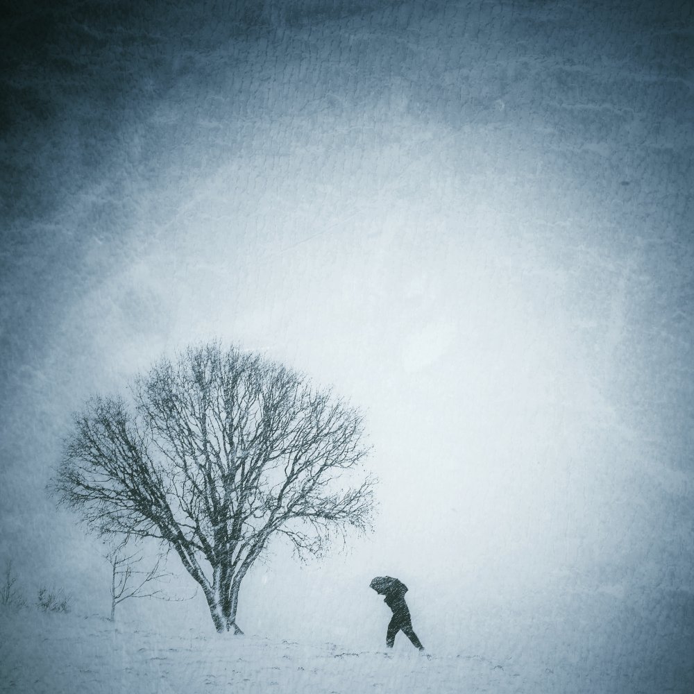 Schneetag von Mardin Ahmadi