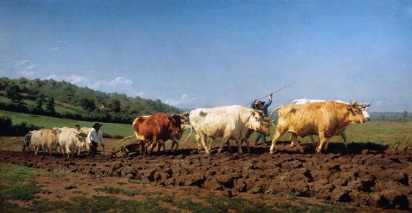 Pflügen mit Ochsen im Nivernais. 1849