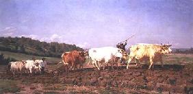 Ploughing in the Nivernais 1850