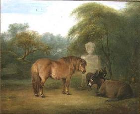 Pony and Donkeys in a Glade
