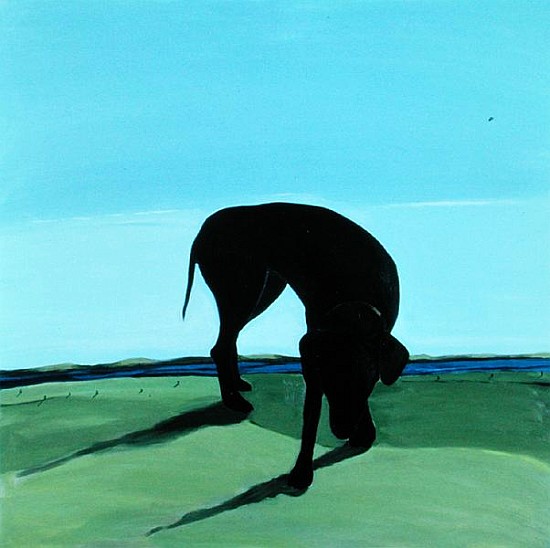 Joe''s Black Dog, 1996 (acrylic on canvas)  von Marjorie  Weiss