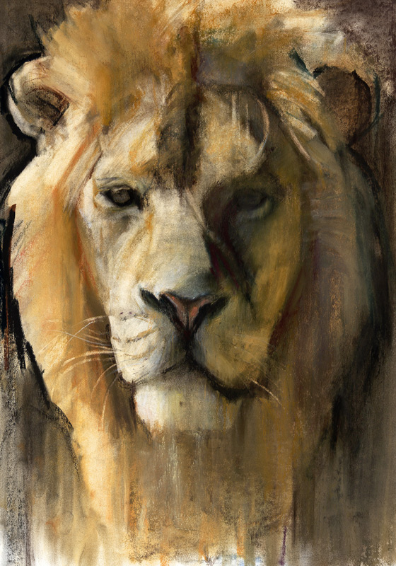 Asiatic Lion von Mark  Adlington