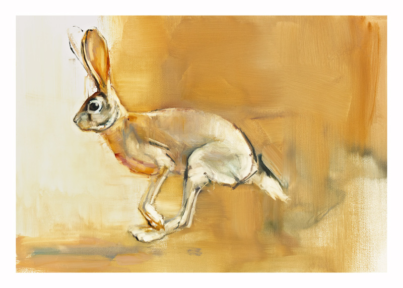Cape Hare von Mark  Adlington