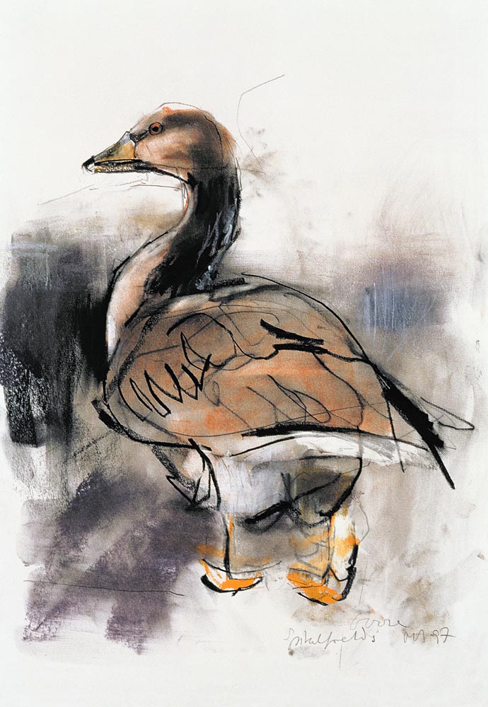 Spitalfields Goose von Mark  Adlington