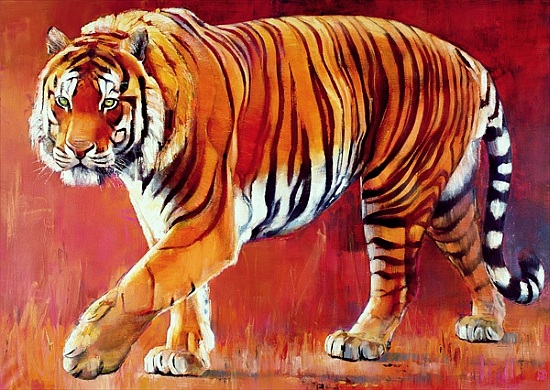 Bengal Tiger von Mark  Adlington