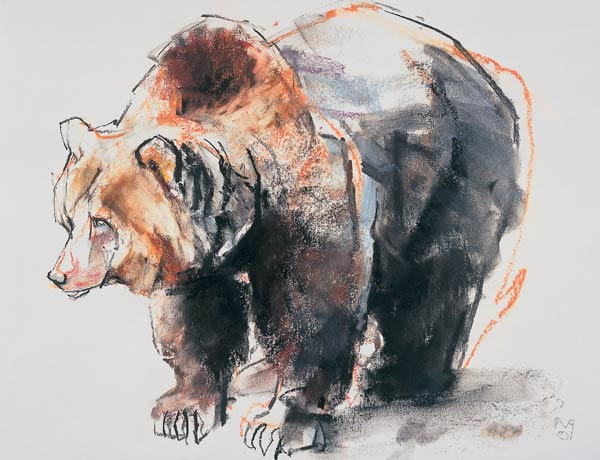 European Brown Bear von Mark  Adlington