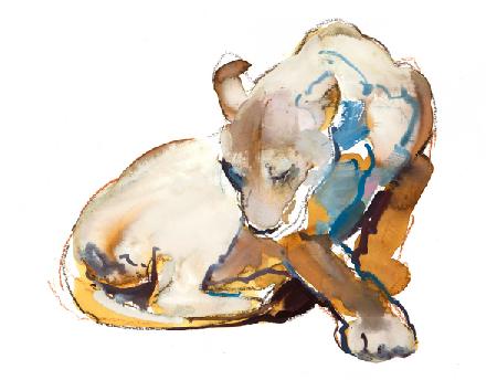 Feline Paint (lioness) 2020