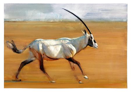 Galloping Oryx 2010