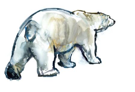 Glacier MInt (Polar bear) 2013