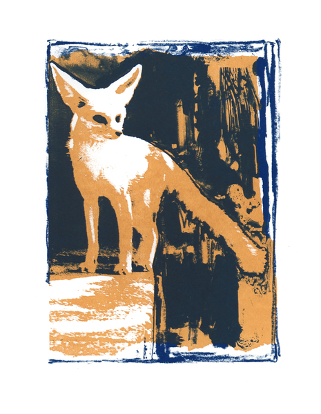 Little Desert Fox von Mark  Adlington