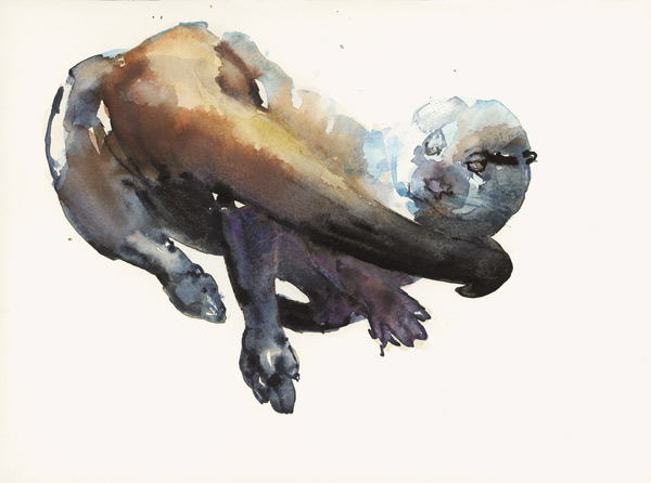 Otter Study I - Talisker von Mark  Adlington