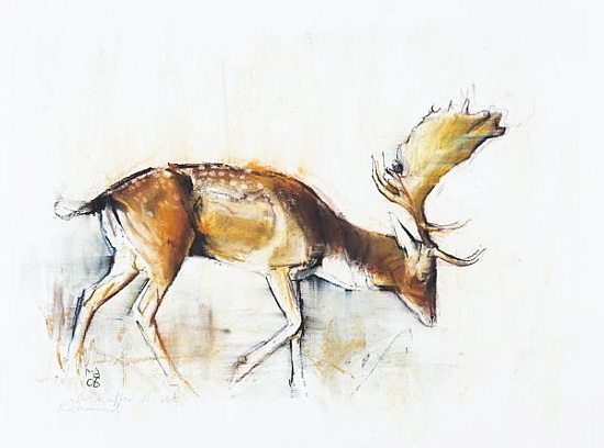 Pisanello Buck von Mark  Adlington