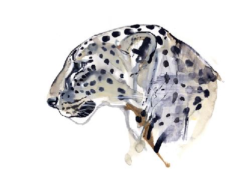 Profile (Arabian Leopard) 2008