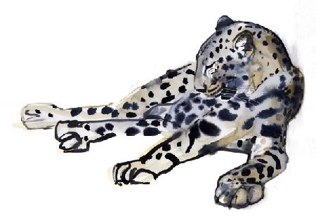 Recumbent (Arabian Leopard) 2008