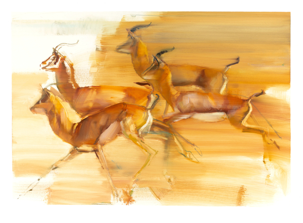 Running Gazelles von Mark  Adlington