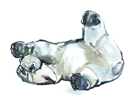 Snow Rub (Polar Bear) 2013