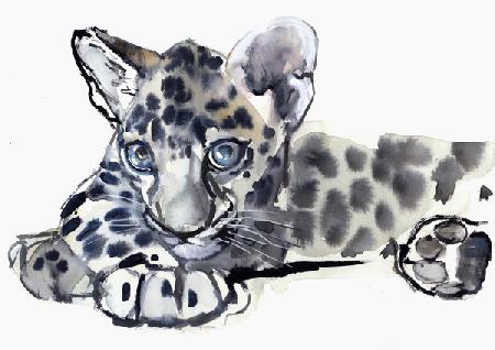 Spotty (Arabian Leopard Cub) 2008