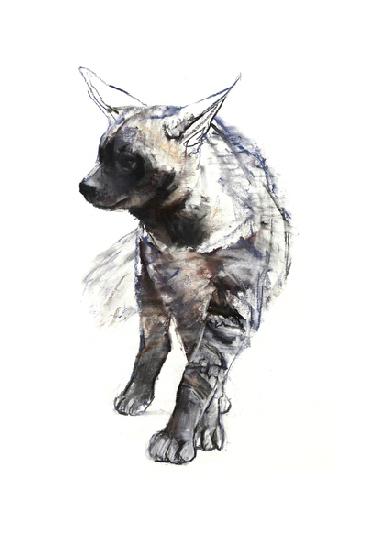 Striped Hyaena Pup 2010