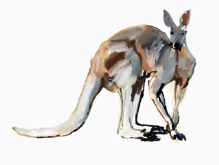 Roo, (Red Kangaroo) 2012