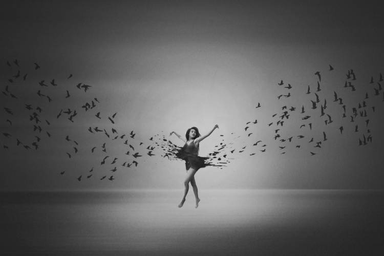 Ballerina flight of Birds von Mark Biwit