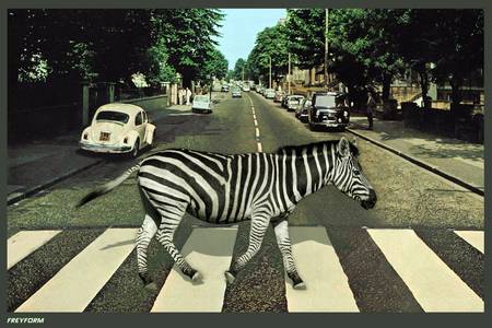 Zebra Crossing 2021