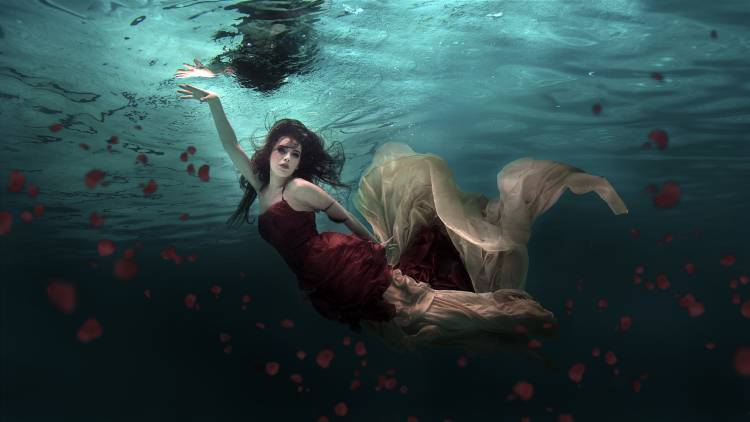 Ocean of Roses von Martha Suherman
