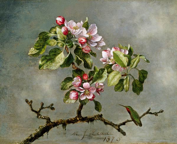 Apple Blossoms and a Hummingbird von Martin Johnson Heade