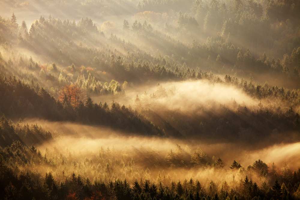 Autumn Rays von Martin Rak