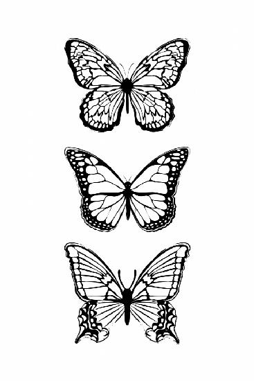 Schwarze Schmetterlinge