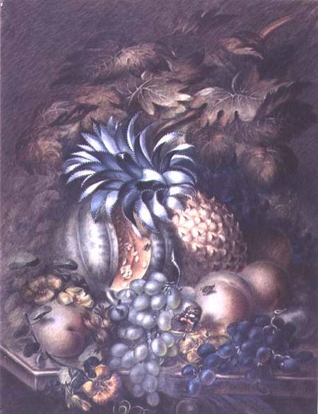Study of Fruit von Mary Bradley