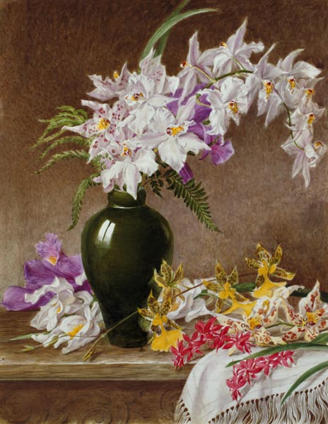 Orchids in a Vase von Mary Elizabeth Duffield