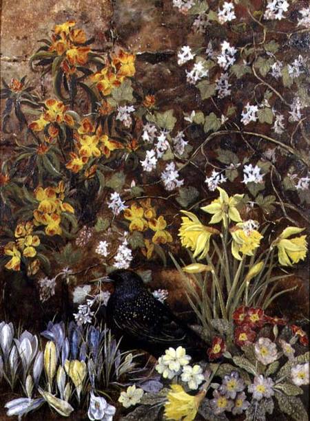 Spring Flowers von Mary Ensor