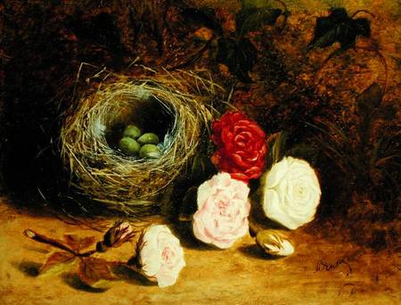 Still life of bird's nest and roses von Mary Ensor