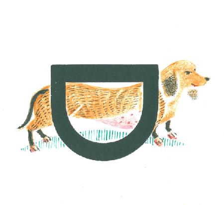 D is for dachshund 2015