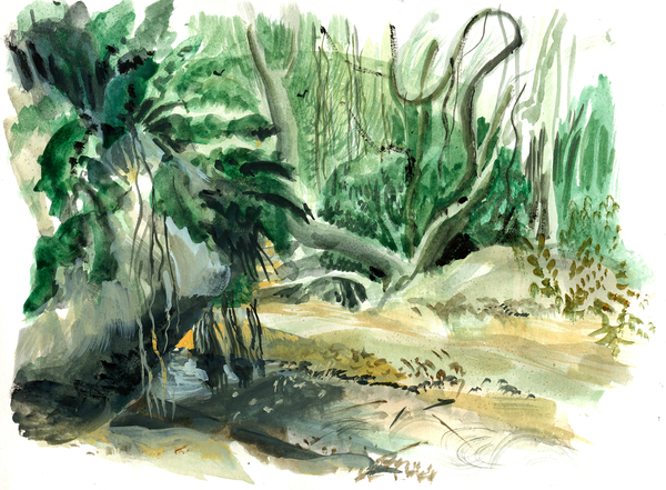 Jungle: Tyrona, Colombia von Mary Kuper