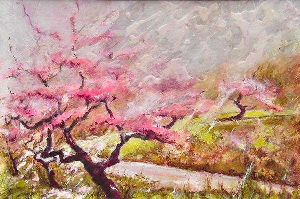 almond blossom in the mountains von Mary Smith
