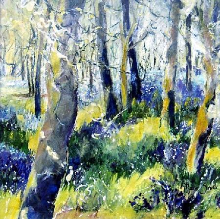 Bluebells and Yellow 2011