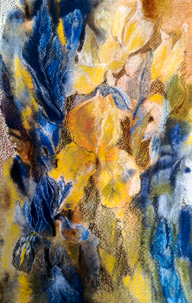 gold and blue iris von Mary Smith