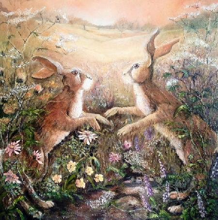 Hares at dawn 2016
