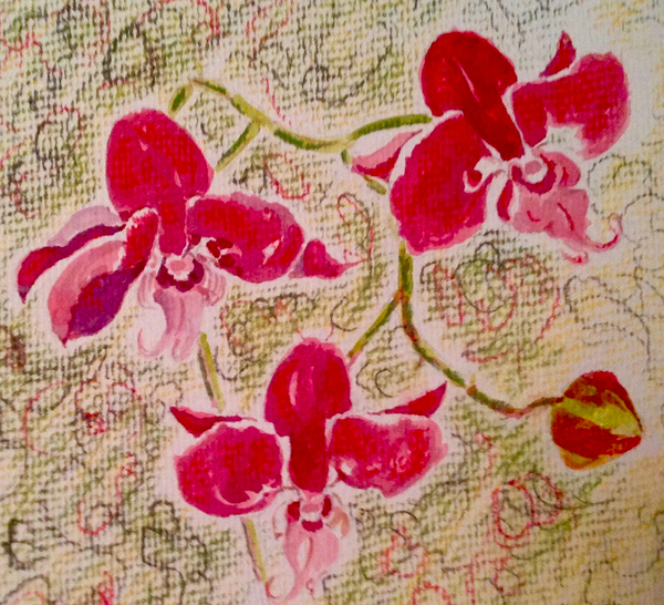 orchids von Mary Smith