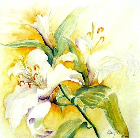 white lilies 2017