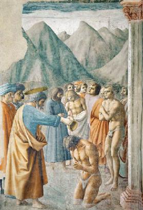 St. Peter Baptising the Neophytes c.1427