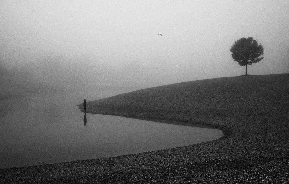 loneliness von Matija Posavec